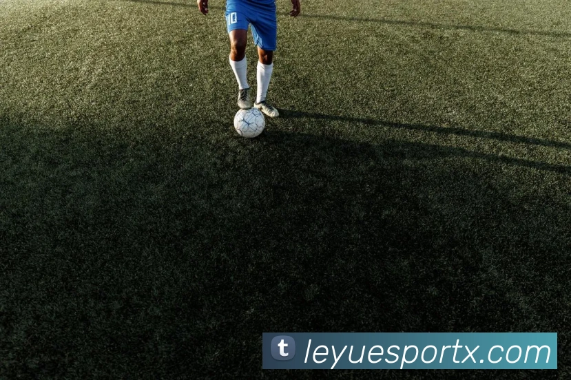 乐鱼电竞品牌故事